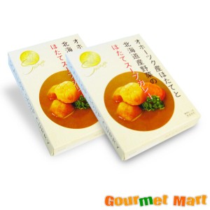 北海道スープカレー オホーツク産ホタテと北海道産野菜 ほたてスープカレー 1食入×2箱セット レターパックプラス 送料込 ポイント消化 