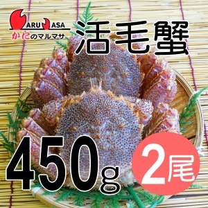 かにのマルマサ お取り寄せ ギフト 毛ガニ【北海道産 冷蔵 活毛がに(450g×2尾)セット】毛蟹 堅蟹 カニ通販 海産物 道産品