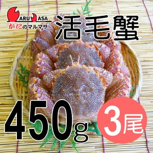 かにのマルマサ お取り寄せ ギフト 毛ガニ【北海道産 冷蔵 活毛がに(450g×3尾)セット】毛蟹 堅蟹 カニ通販 海産物