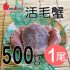 かにのマルマサ お取り寄せ ギフト 毛ガニ【北海道産 冷蔵 活毛がに(500g×1尾) 】毛蟹 カニ通販 海産物