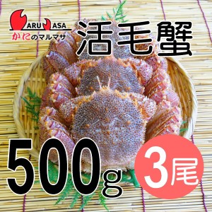 かにのマルマサ お取り寄せ ギフト 毛ガニ【北海道産 冷蔵 活毛がに(500g×3尾)セット】毛蟹 堅蟹 カニ通販 海産物