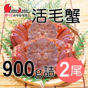 かにのマルマサ お取り寄せ ギフト 毛ガニ【北海道産 冷蔵 活毛がに(900g詰2尾入)セット】毛蟹 堅蟹 カニ通販 海産物