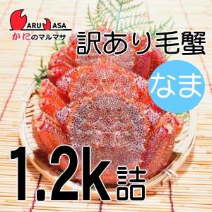 かにのマルマサ お取り寄せ ギフト 毛ガニ【北海道産 冷蔵 訳あり活毛がに 1.2kgセット】毛蟹 堅蟹 カニ通販 海産物