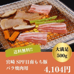 焼肉 バーベキュー キャンプ ギフト お取り寄せ 自家需要 贅沢 送料無料 もち豚 宮崎 SPF 日南 バラ焼肉 400g 豚肉 御中元 御歳暮 お年賀