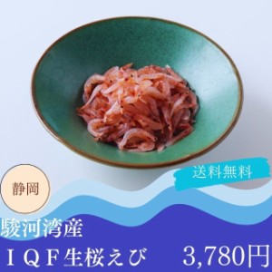 桜えび 海鮮 ギフト グルメ お取り寄せ 送料無料 自家需要 静岡 駿河湾産ＩＱＦ 生桜えび プレゼント 贈答品 御中元 御歳暮 内祝い 出産