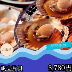 ホタテ 海鮮 ギフト グルメ お取り寄せ 送料無料 自家需要 北海道産 帆立片貝 プレゼント 贈答品 御中元 御歳暮 内祝い 出産祝い 結婚祝