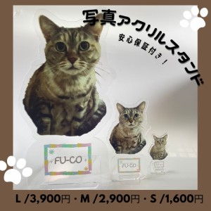 写真アクリルスタンド アクリルスタンド フォトスタンド ペット メモリアル フォトプレート 犬 猫 愛犬 愛猫 メモリアルグッズ グッズ 写