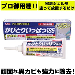 かびとりいっぱつ185 通販 カビ取り一発 185 カビとり一発 かびとりいっぱつ カビ取り 黒カビ 浴室 掃除 プロ 結露 シリコン ゴム パッキ