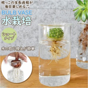 花瓶 ガラス 通販 BULB VASE バルブベース ショート KEGY4060 ガラスベース ガラス花器 かわいい 水栽培 容器 おしゃれ 球根 液肥 かわい