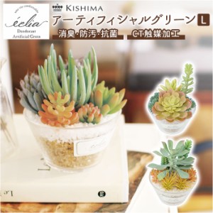 多肉植物 観葉植物 フェイク l 通販 おしゃれ 小さい CT触媒 消臭アーティフィシャルグリーン ECLIA エクリア インテリアグリーン 寄せ植