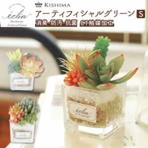 多肉植物 観葉植物 フェイク s 通販 おしゃれ 小さい CT触媒 消臭アーティフィシャルグリーン ECLIA エクリア インテリアグリーン 寄せ植