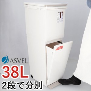 アスベル ゴミ箱 ASVEL 6605 通販 ダストボックス ごみ箱 分別ペダル ごみばこ くず入れ ゴミバコ スリム 2段 2分別 ふた付き 38リットル