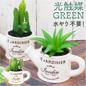 光触媒 観葉植物 卓上 通販 じょうろ フェイクグリーン ミニ おしゃれ 造花 ギフト プチギフト 贈り物 かわいい 消臭 抗菌 抗カビ 母の日