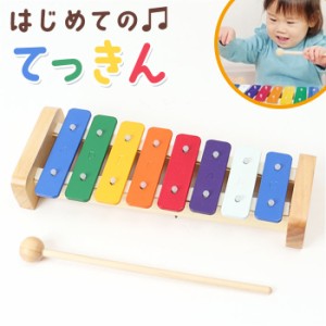 おもちゃ 楽器 通販 はじめてのてっきん 鉄琴 玩具 知育 ホビー オモチャ 打楽器 子供用 子供 キッズ 子ども こども 子供の日 男の子 女