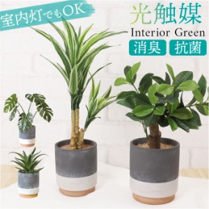 光触媒 フェイクグリーン 通販 観葉植物 人工観葉植物 ポット 鉢植え CMポット インテリアグリーン イミテーショングリーン 消臭 抗菌 防