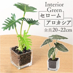 観葉植物 フェイク 小さい 通販 フェイクグリーン アーティフィシャルグリーン インテリアグリーン 人工観葉植物 卓上 小さめ 小型 ミニ 