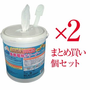 【まとめ買い 2個セット 重曹電解クリーナー 業務用300枚入り】