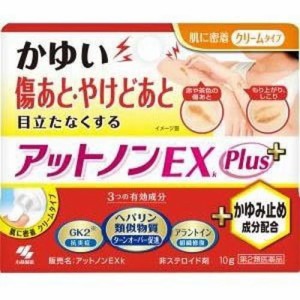 【小林製薬 アットノンEX かゆみ止めプラス 10g】【第2類医薬品】