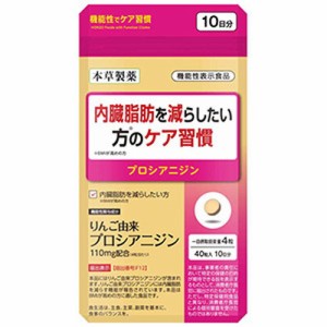 【内臓脂肪を減らしたい方のケア習慣 40粒】