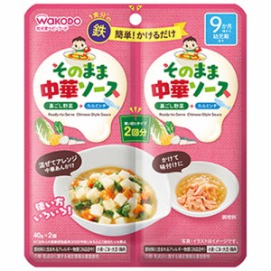 【そのままソース 中華 40g×2袋】