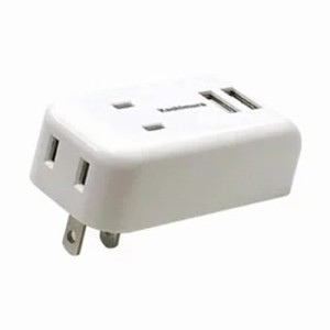 【国内・海外兼用 2口電源コンセント Aタイプ USB×2ポート付(合計1A) NTI-172】