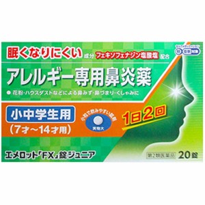 【エメロット FX錠 ジュニア 20錠】【第2類医薬品】