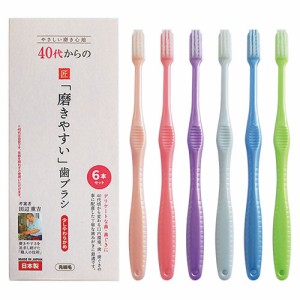 【40代からの磨きやすい歯ブラシ LT59 6本組】