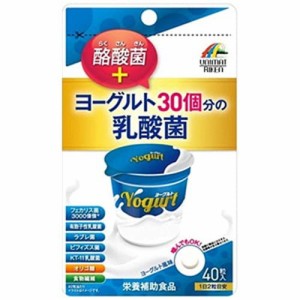 【ヨーグルト30個分の乳酸菌＋酪酸菌 40粒入】