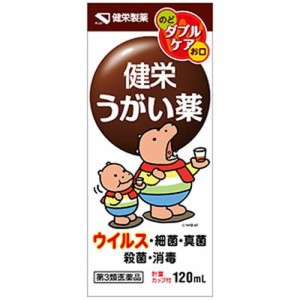 【健栄うがい薬 120mL】【第3類医薬品】