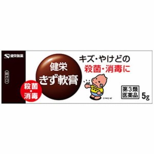 【健栄きず軟膏 5g】【第3類医薬品】