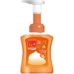 【ミューズ 泡ハンドソープ フルーティフレッシュ 本体 250mL】