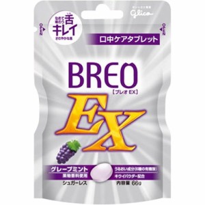 【ブレオEX グレープミント 66g】