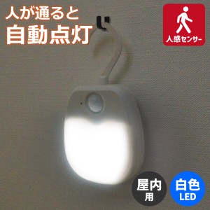 エルパ LED ナイトライト コンセント式 明暗＆人感センサー フック付 PM-L213