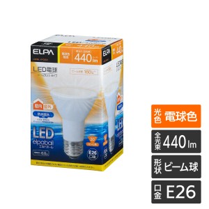 エルパ LED電球 屋内/屋外兼用ビーム球形 E26 440ルーメン 電球色 LDR6L-W-G053