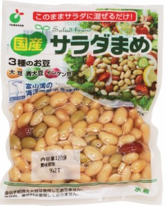 サラダまめ 120g×4袋 国産 （メール便）ミックス豆 大豆水煮 大豆 青大豆 インゲン豆 国内産 ヤマサン食品工業 サラダ豆 水煮野菜