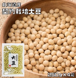 豆力　契約栽培北海道産　大豆 　1kg 　　　だいず 国産 乾燥豆 国内産 豆類 乾燥大豆 和風食材 生豆 