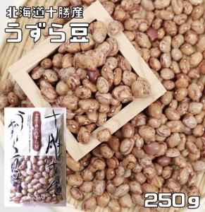 うずら豆 250g 豆力 北海道十勝産 （メール便）北海道産 アサヒ食品工業 うずら 国産 国内産 徳用 乾燥豆 手料理 手作り 煮豆用