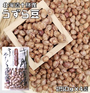 うずら豆 1kg 豆力 北海道十勝産 北海道産 アサヒ食品工業 うずら 国産 国内産 徳用 乾燥豆 手料理 手作り 煮豆用