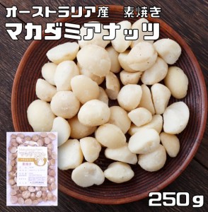 マカダミアナッツ（素焼き）　 250ｇ　　　世界美食探究 オーストラリア産 大粒 マカデミアナッツ 無塩 無油 ロースト お徳用 国内加工 