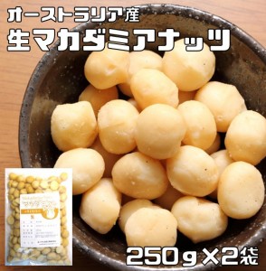 マカダミアナッツ 生 250ｇ×2袋 世界美食探究 オーストラリア産 （メール便）大粒 マカデミアナッツ 無塩 無油 国内加工 業務用 製菓材