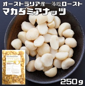 マカダミアナッツ（薄塩ロースト仕上げ）　 250ｇ　　　世界美食探究 オーストラリア産 塩味 大粒 マカデミアナッツ 有塩ナッツ ロースト