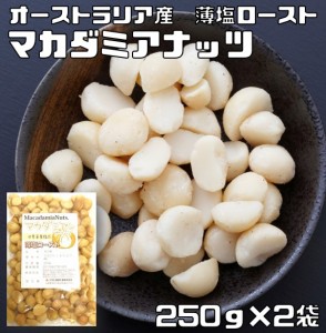 マカダミアナッツ 薄塩 250g×2袋 世界美食探究 オーストラリア産 （メール便）塩味 マカデミアナッツ 有塩 ロースト 国内加工 業務用 製