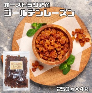 ゴールデンレーズン 1kg オーストラリア産 世界美食探究 ドライフルーツ シードレス サルタナ種 干しぶどう 製菓 製パン 乾燥ぶどう