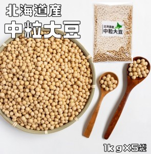 まめやの底力 北海道産 中粒大豆 5kg（1ｋｇ×5袋） 　　　【全国宅配便　送料無料】【限定品　だいず　大特価】