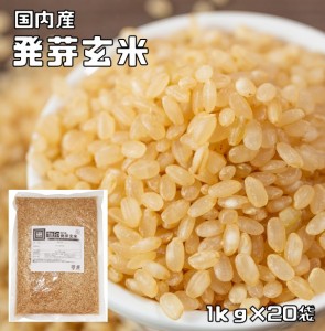 発芽玄米 20ｋg 豆力 北海道産 玄米 玄氣 米 発芽米 無洗米タイプ 日本米 国産米 国内産 穀物 健康米