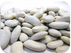 大福豆 10kg 豆力 北海道産 白インゲン 国産 十六豆 おおふくまめ インゲン豆 乾燥豆 国内産 豆類  和風食材 生豆 業務用