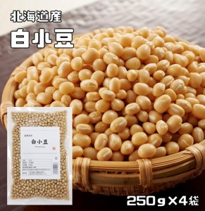 白小豆 1kg 豆力 北海道産 白あずき 希少豆 しろ小豆 国産 国内産 乾燥豆 豆類  和風食材 生豆 限定品