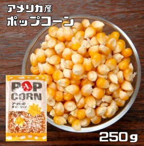 豆力特選　ポップコーン　250g　　　業務量 大容量 お徳用 手作り Pop Corn 豆 アメリカ産 コーン おやつ おつまみ お菓子