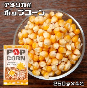 豆力特選　ポップコーン　1kg　　　業務量 大容量 お徳用 手作り Pop Corn 豆 アメリカ産 コーン おやつ おつまみ お菓子