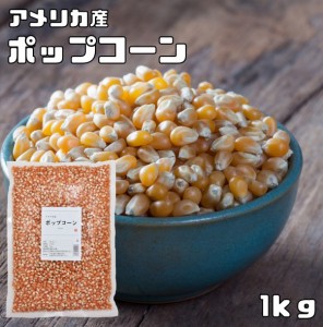 まめやの底力 大特価 アメリカ産 ポップコーン 1kg 　　業務量 大容量 お徳用 手作り Pop Corn 豆 アメリカ産 コーン おやつ おつまみ お